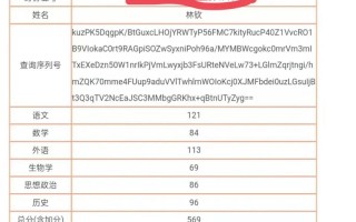 安徽省美术省考成绩何时可查？