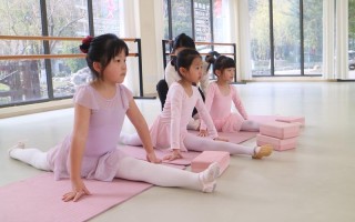 河南体育舞蹈B段学校有哪些？