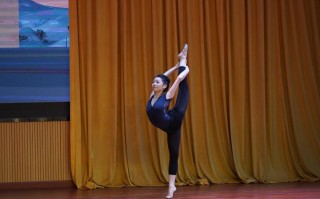 浙江师范大学舞蹈专业如何招生？