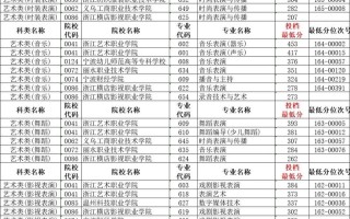 浙江省舞蹈联考总分多少