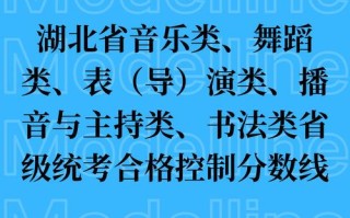 2025湖北音乐类考生人数多少？