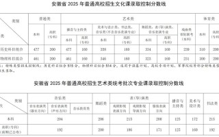 2025安徽美术总分多少？