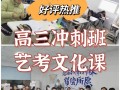 艺考与文化课，大学选哪个更优？
