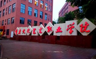 重庆艺考哪个学校最好