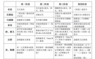 高中舞蹈特长生教学计划如何高效制定？