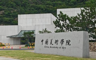 巢湖学院2025美术招生政策何时发布？