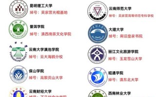 云南大学音乐类2025招生有何变化？