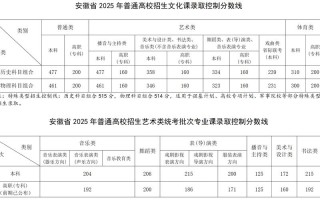 2025安徽音乐综合分
