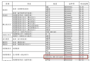 中戏艺考录取分省计划