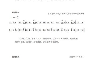 湖南省联考视唱200条如何高效备考？