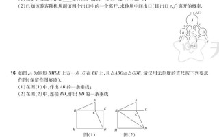 天星教育大联考2025的命题方向是什么？