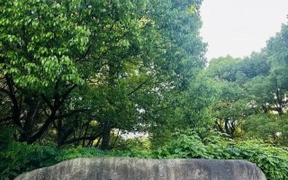 中国美术学院成人教育学院