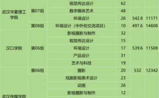 湖北2025年艺考人数为何增降？