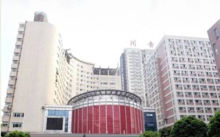 成都哪些大学有音乐专业？