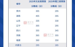 2025美术湖南提档线