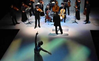 艺术专业包含音乐与舞蹈吗？