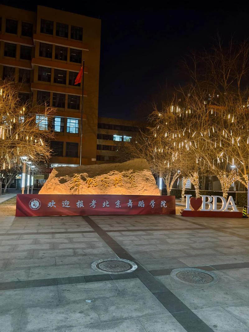 北京舞蹈学院2025分数线何时公布?-第3张图片-泰美艺术培训 北京舞蹈学院2025分数线何时公布?-第3张图片-泰美艺术培训