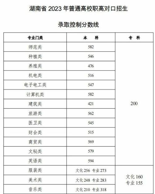 2025年湖南音乐联考分数线-第1张图片-泰美艺术培训