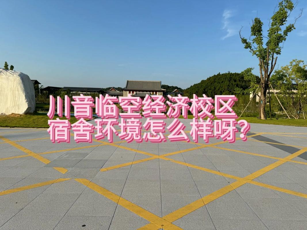 四川音乐学院新都校区教务系统怎么用?-第2张图片-泰美艺术培训 四川音乐学院新都校区教务系统怎么用?-第2张图片-泰美艺术培训