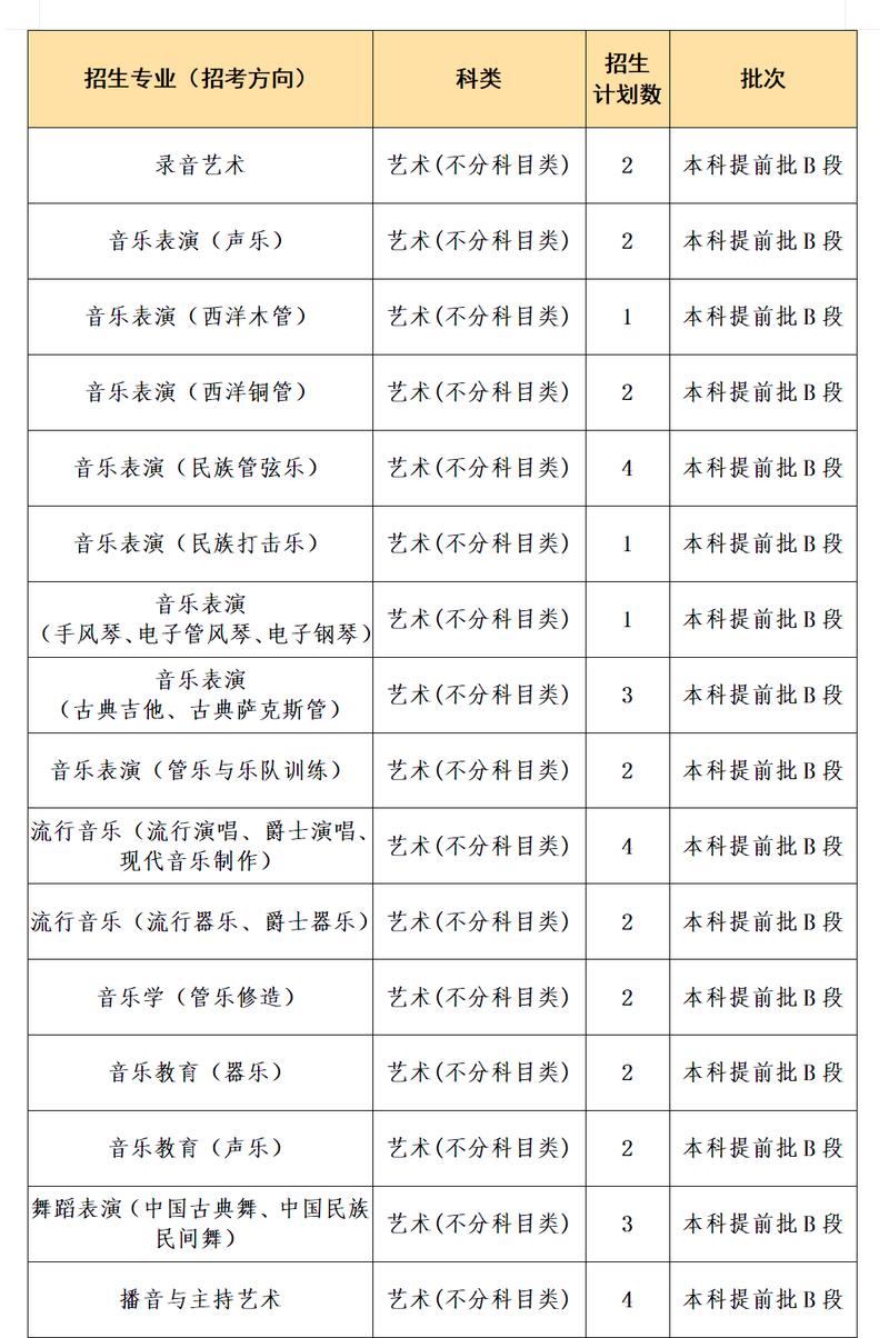 四川音乐学院2025分数线-第2张图片-泰美艺术培训 四川音乐学院2025分数线-第2张图片-泰美艺术培训