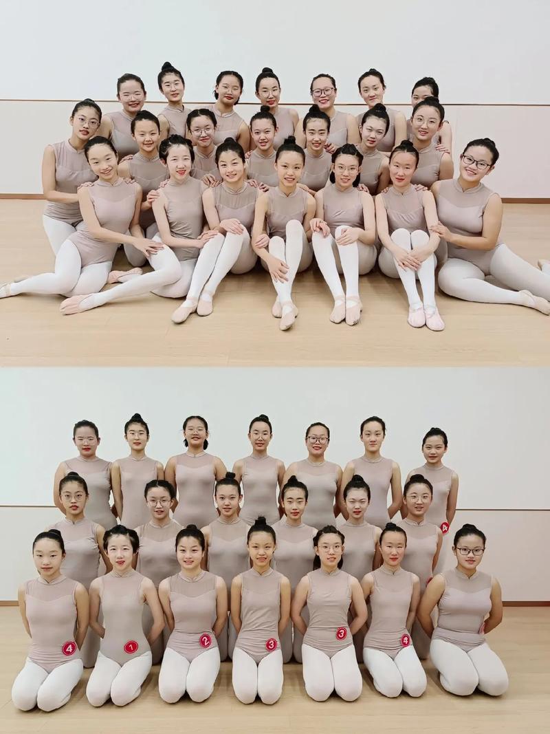 舞蹈级别考试考点有哪些地方?-第3张图片-泰美艺术培训 舞蹈级别考试考点有哪些地方?-第3张图片-泰美艺术培训