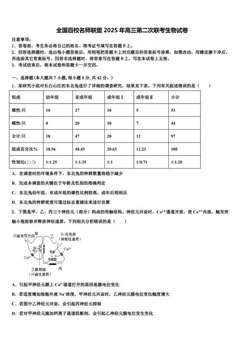 2025百校联考二word-第3张图片-泰美艺术培训 2025百校联考二word-第3张图片-泰美艺术培训