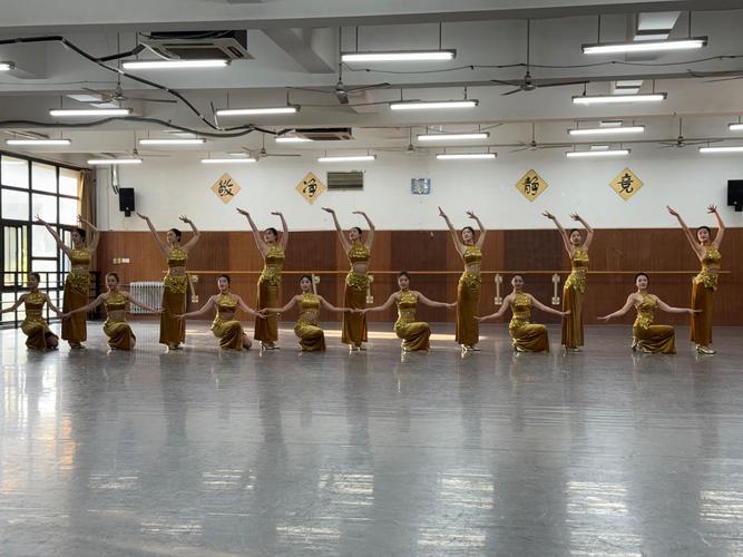 舞蹈与音乐教育专业大学,如何培养复合型人才?-第1张图片-泰美艺术培训 舞蹈与音乐教育专业大学,如何培养复合型人才?-第1张图片-泰美艺术培训