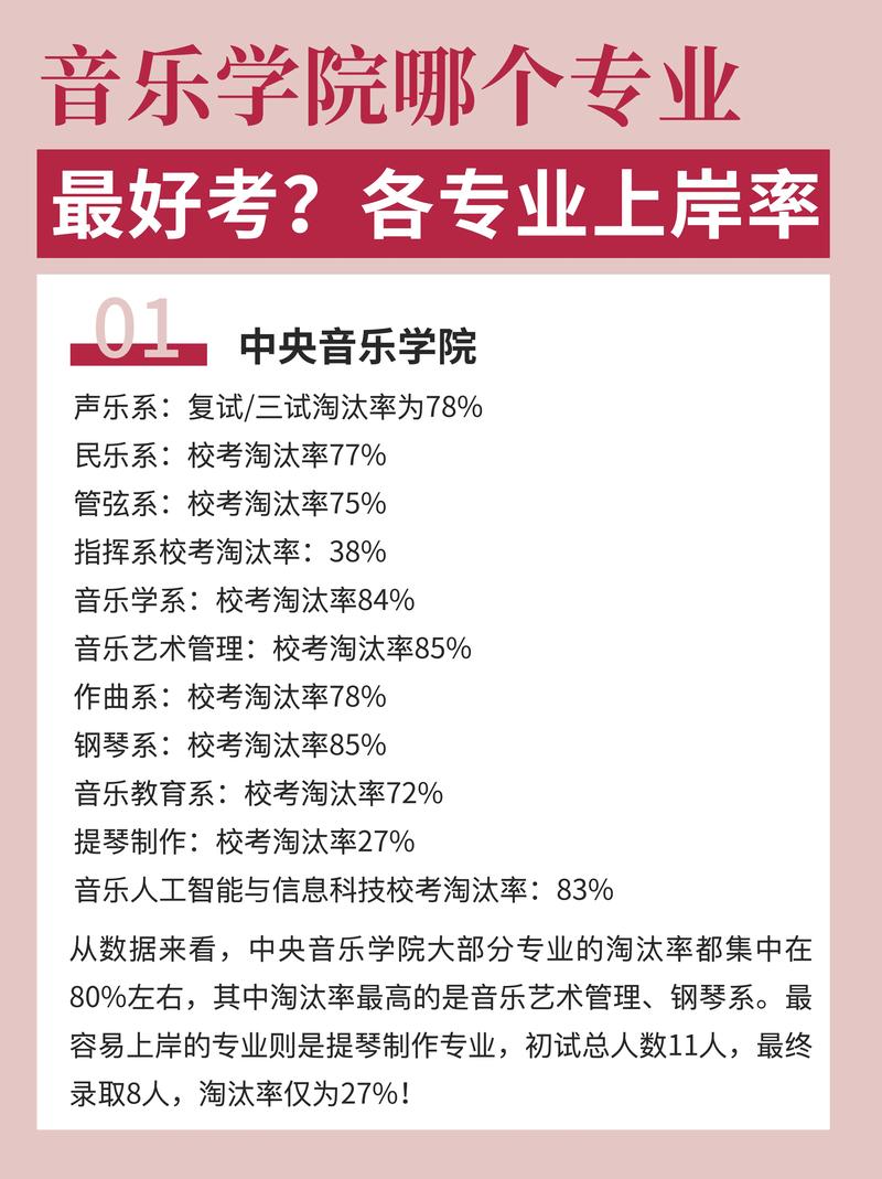 音乐艺考生可以考什么大学-第2张图片-泰美艺术培训