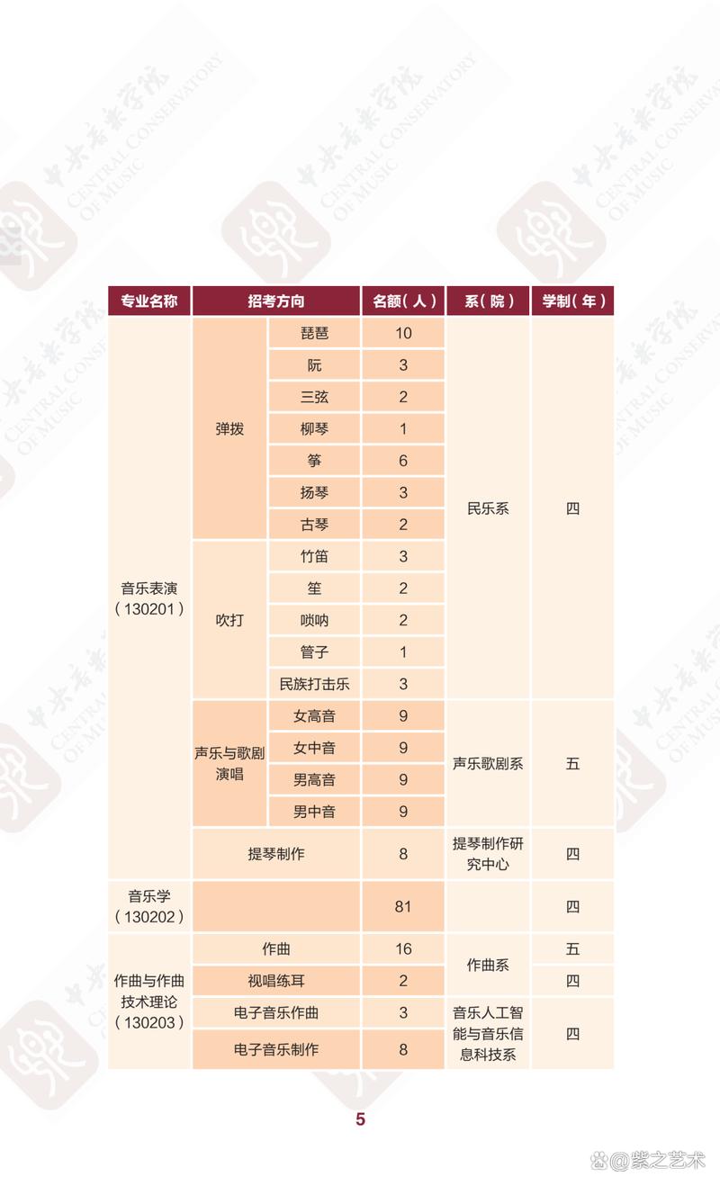 北京中央音乐学院招生标准-第1张图片-泰美艺术培训