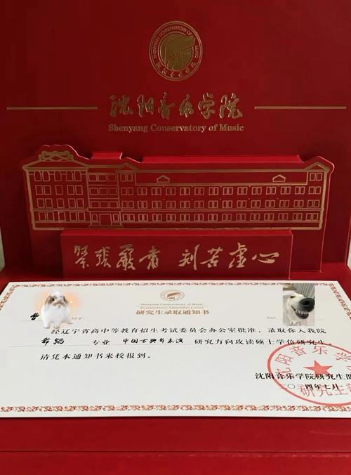 2025沈阳音乐学院录取-第2张图片-泰美艺术培训 2025沈阳音乐学院录取-第2张图片-泰美艺术培训