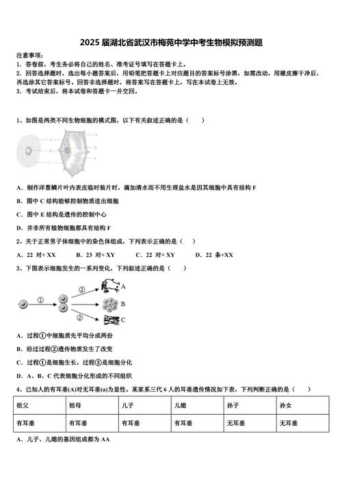 2025湖北八校联考生物-第2张图片-泰美艺术培训 2025湖北八校联考生物-第2张图片-泰美艺术培训