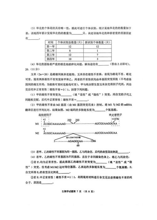 2025湖北八校联考生物-第3张图片-泰美艺术培训 2025湖北八校联考生物-第3张图片-泰美艺术培训