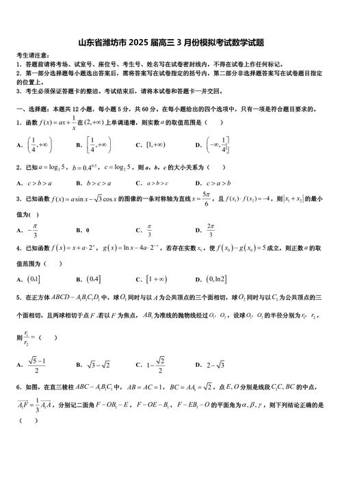 2025潍坊高三联考数学-第1张图片-泰美艺术培训 2025潍坊高三联考数学-第1张图片-泰美艺术培训
