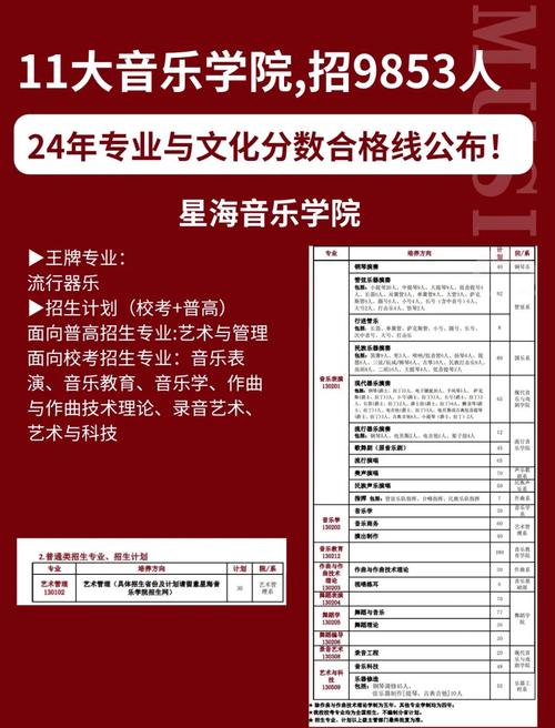 宁夏大学音乐学院录取分数线是多少？-第2张图片-泰美艺术培训