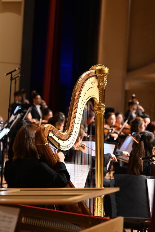 北京2025音乐艺考政策有哪些新变化?-第2张图片-泰美艺术培训 北京2025音乐艺考政策有哪些新变化?-第2张图片-泰美艺术培训