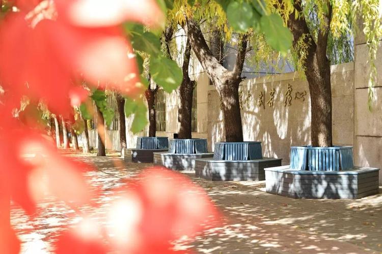 鲁迅美院附中,美术生的摇篮还是起点?-第3张图片-泰美艺术培训 鲁迅美院附中,美术生的摇篮还是起点?-第3张图片-泰美艺术培训