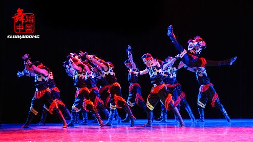 沈阳音乐学院音乐剧舞蹈有何特色？-第3张图片-泰美艺术培训