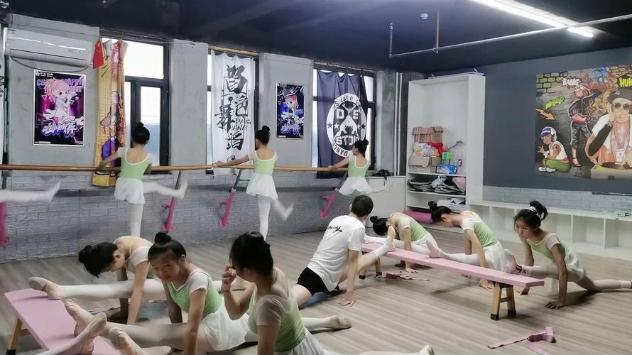 滨州学院开舞蹈艺术课吗?-第2张图片-泰美艺术培训 滨州学院开舞蹈艺术课吗?-第2张图片-泰美艺术培训