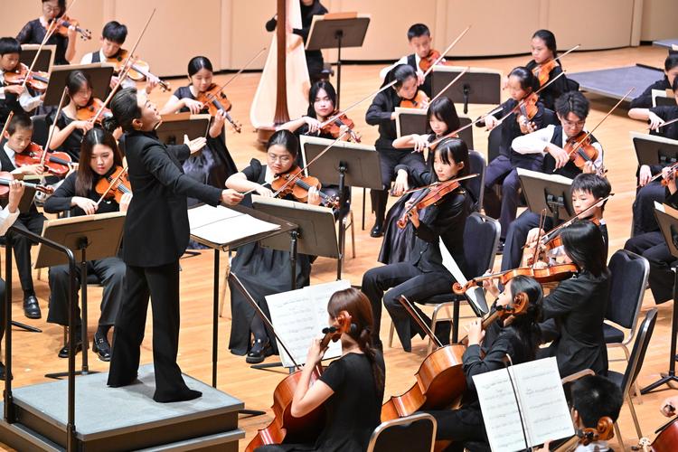 音乐教育与艺术管理专业如何协同发展？-第2张图片-泰美艺术培训