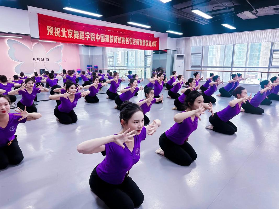 国家专利舞蹈训练学师资有何独特优势?-第2张图片-泰美艺术培训 国家专利舞蹈训练学师资有何独特优势?-第2张图片-泰美艺术培训