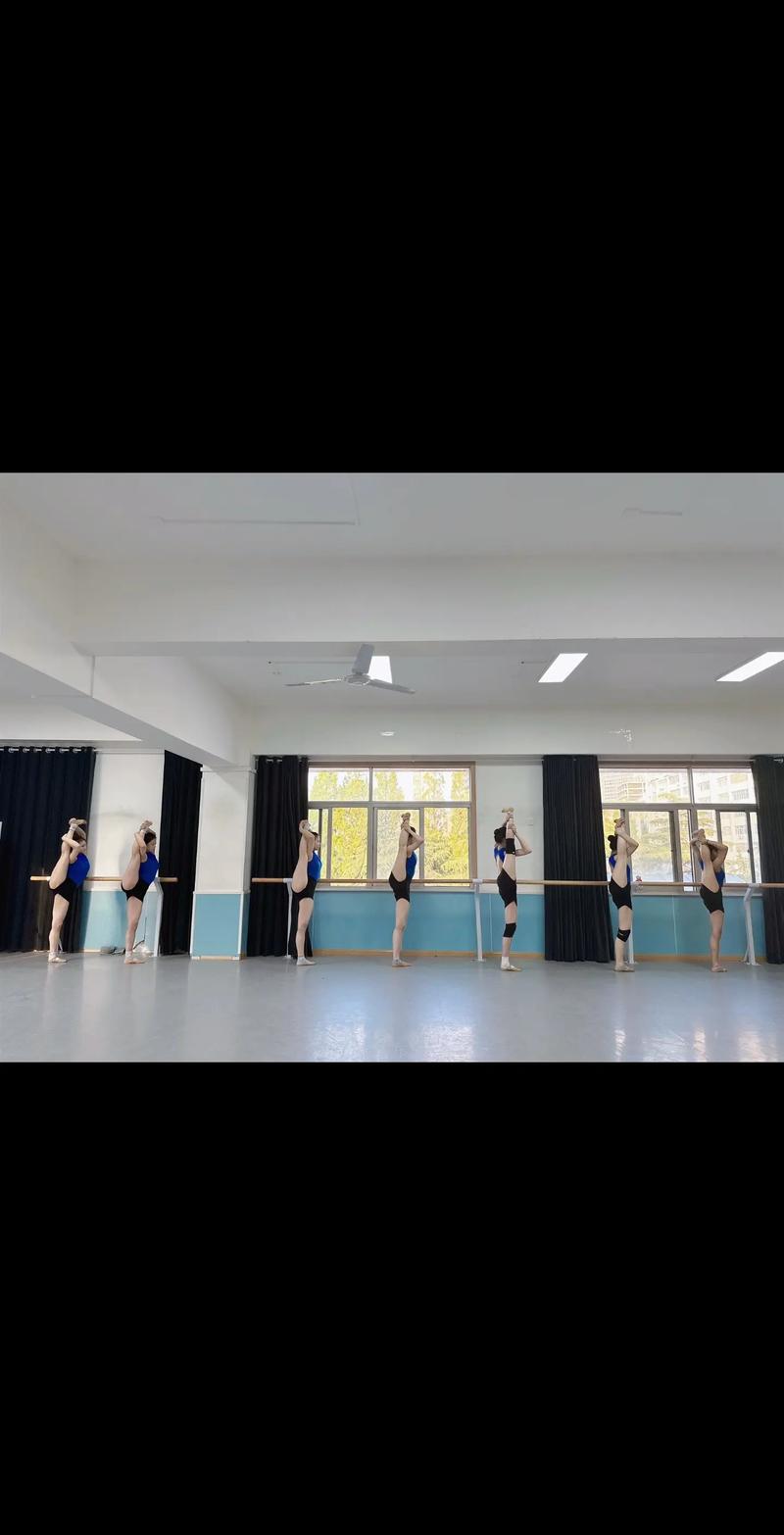 西南大学舞蹈学专业课程有何特色?-第1张图片-泰美艺术培训 西南大学舞蹈学专业课程有何特色?-第1张图片-泰美艺术培训