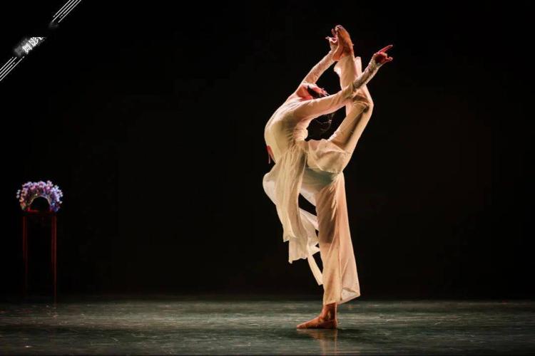 沈阳音乐学院舞蹈国标舞有何特色？-第2张图片-泰美艺术培训