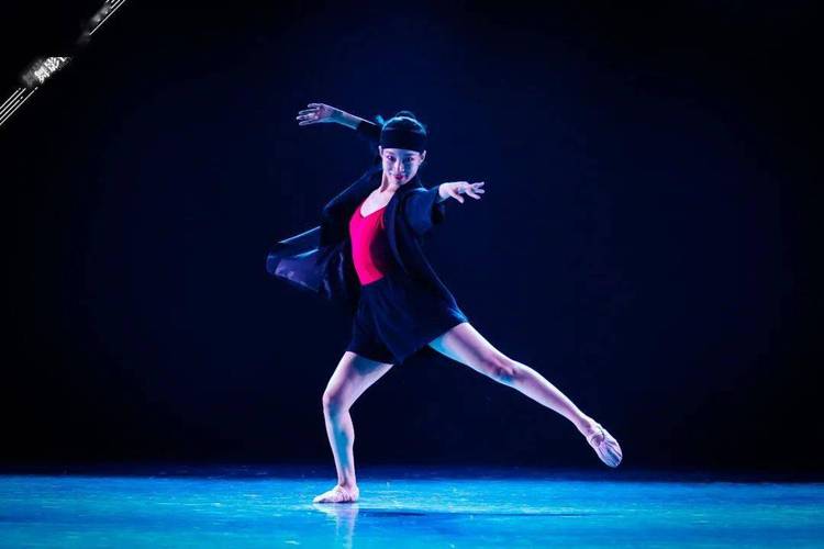 沈阳音乐学院舞蹈国标舞有何特色？-第3张图片-泰美艺术培训