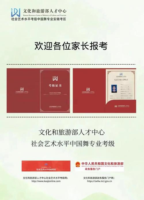 舞蹈校考网上报名入口及费用多少？-第2张图片-泰美艺术培训