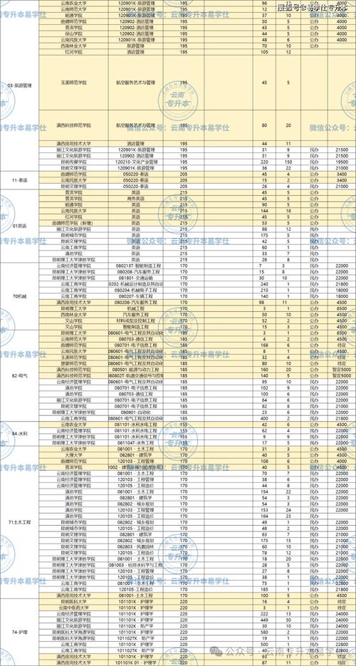 2025年云南艺考人数为何创新高？-第2张图片-泰美艺术培训