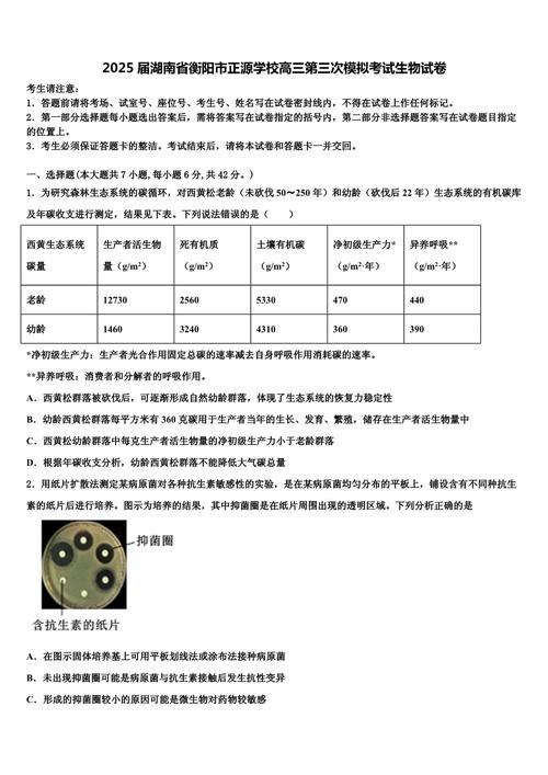 衡阳市第三次联考2025难度如何?-第1张图片-泰美艺术培训 衡阳市第三次联考2025难度如何?-第1张图片-泰美艺术培训