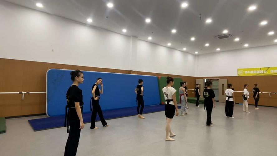 舞蹈生毕业能从事哪些职业？-第1张图片-泰美艺术培训