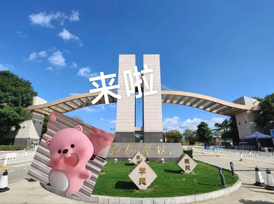 红河学院舞蹈录取分数线是多少？-第3张图片-泰美艺术培训