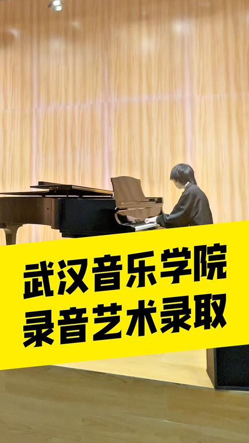 录音艺术是否需要参加音乐联考?-第3张图片-泰美艺术培训 录音艺术是否需要参加音乐联考?-第3张图片-泰美艺术培训