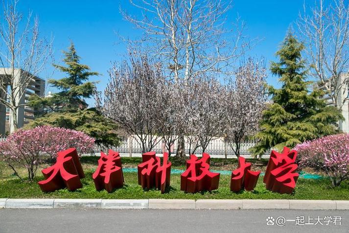 天津科技大学美术专业实力如何？-第2张图片-泰美艺术培训